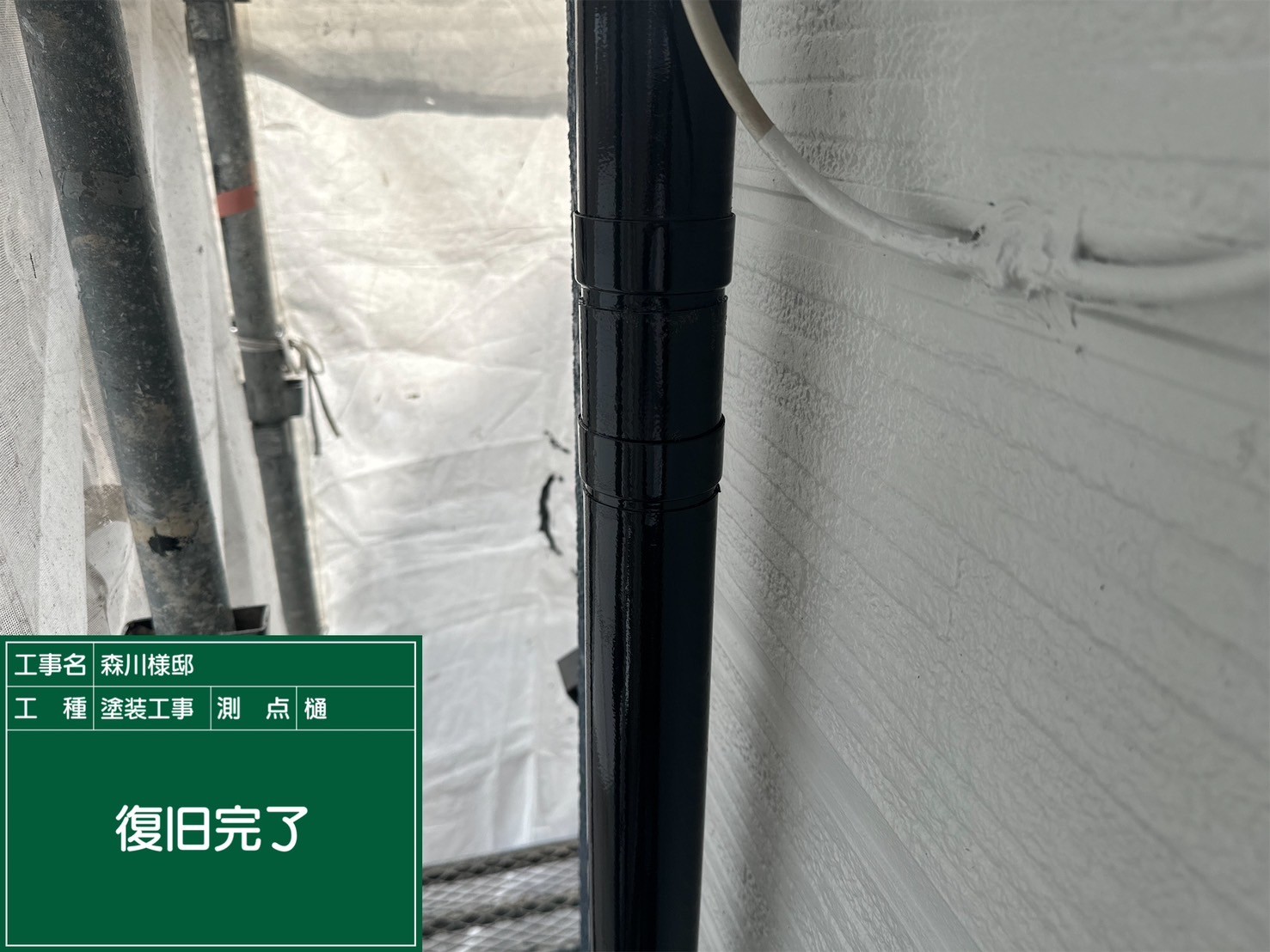 竪樋・完了