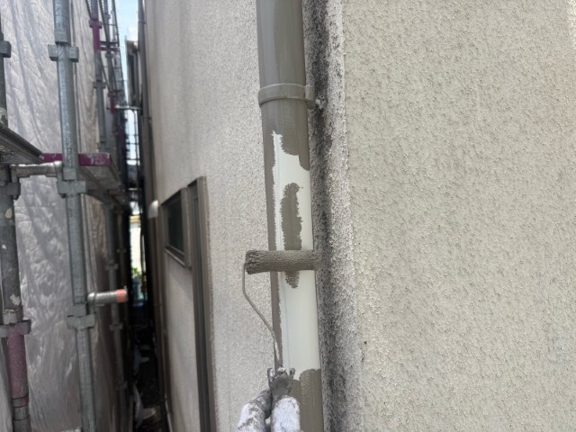 竪樋・上塗り１回目