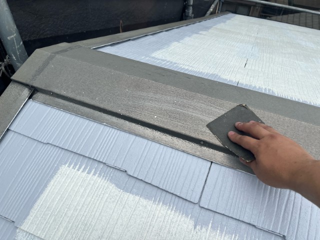 胸板金・目ざらし